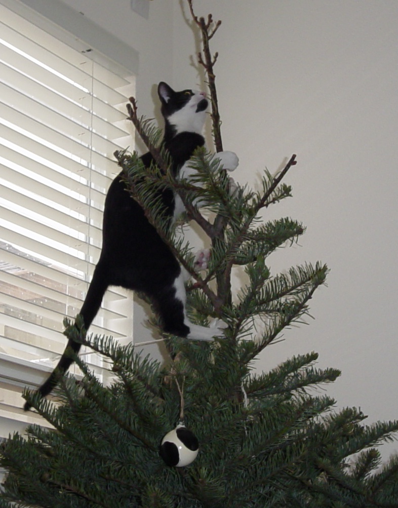 ValeriasFirstChristmas