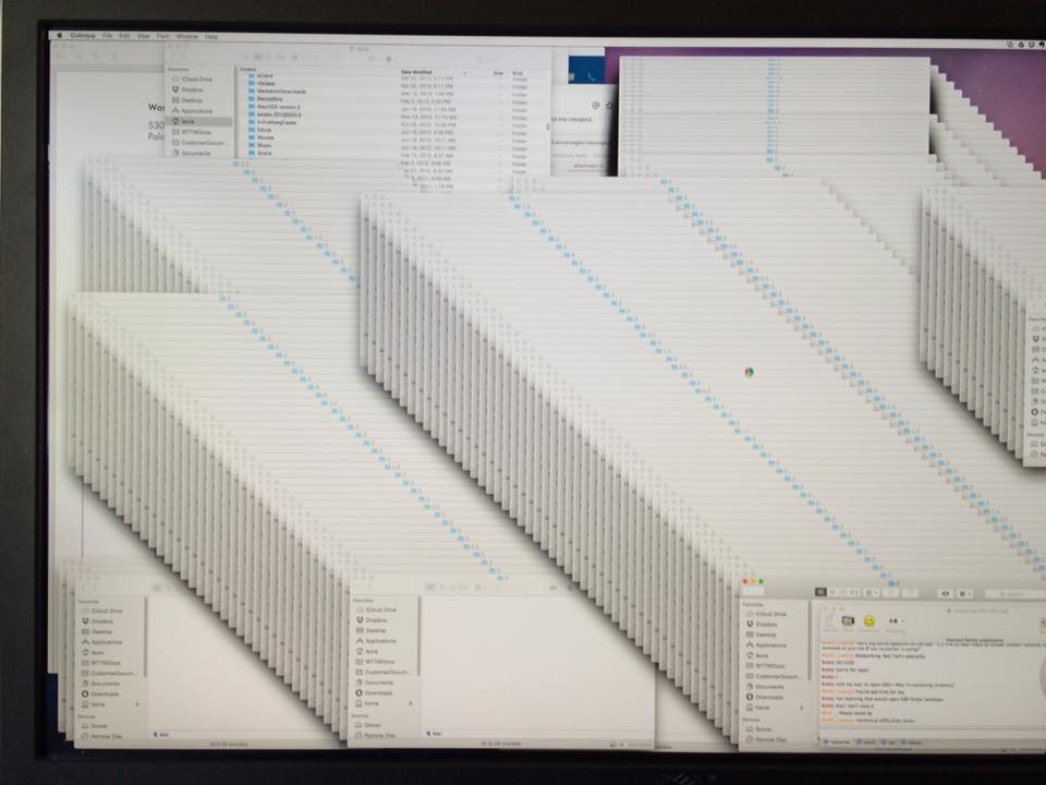 12994434_10205838039782055_7428099273974075063_n